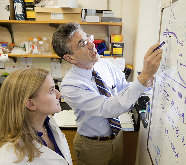 Dr. Robert Lefkowitz shares data on a whiteboard with a female student physician-scientist